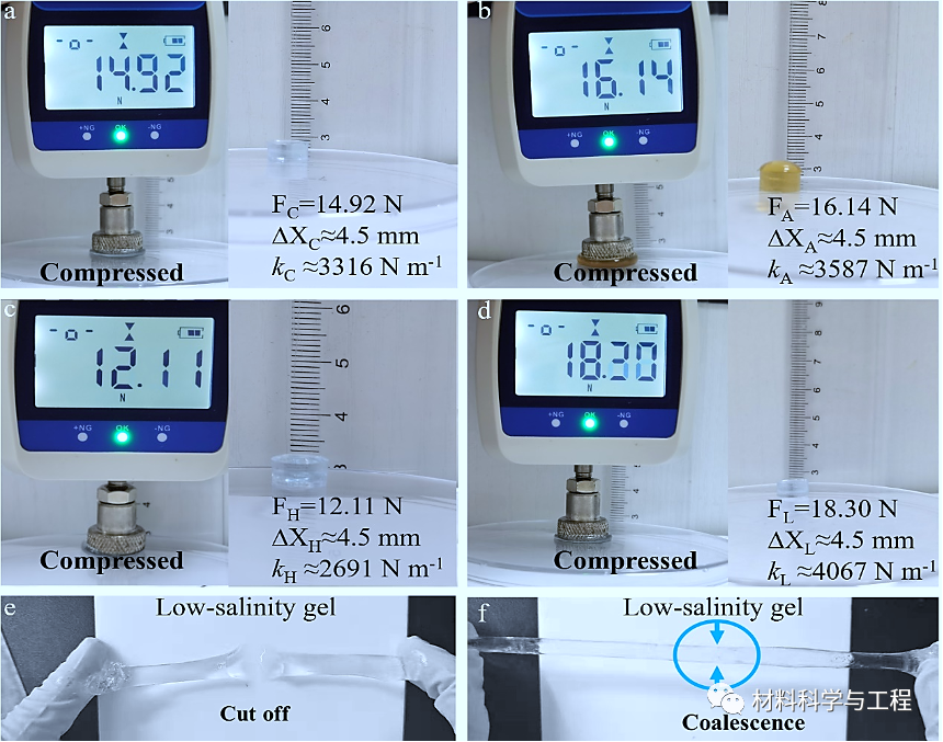 复旦《Adv Mater Tech》:可修复的智能自供电仿生皮肤!的图5